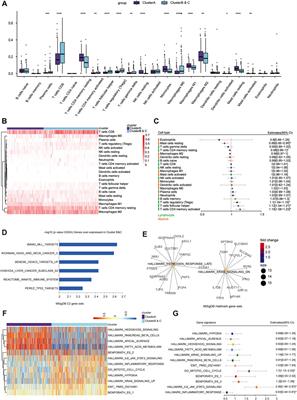 Prognostic Immunophenotyping Clusters of Clear Cell Renal Cell Carcinoma Defined by the Unique Tumor Immune Microenvironment